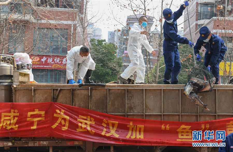 （新華全媒頭條·圖文互動）（12）從人民中汲取磅礴力量——習近平總書記同出席2020年全國兩會人大代表、政協(xié)委員共商國是紀實