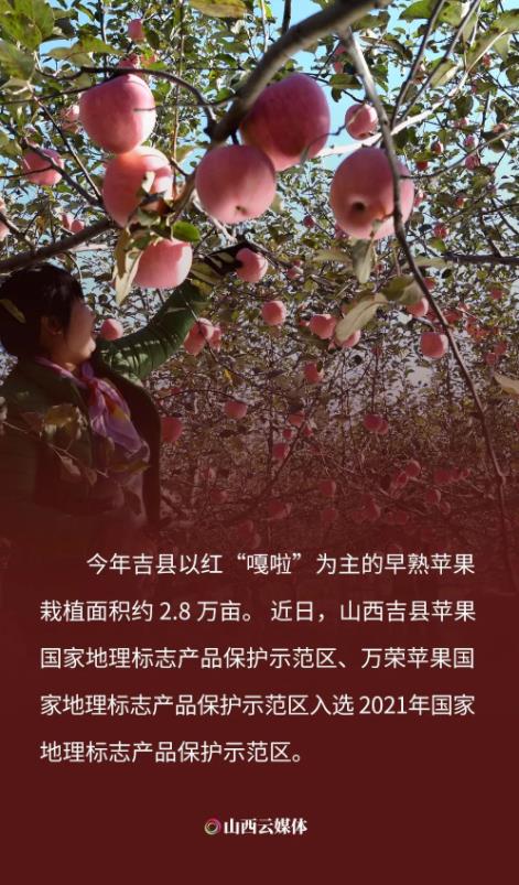 360截圖20210923182255070.jpg