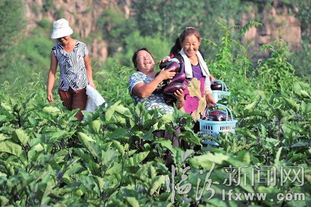 收入增加了，農(nóng)民臉上露出了笑容。 