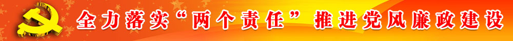 全力落實兩個責(zé)任推進(jìn)黨風(fēng)廉政建設(shè)