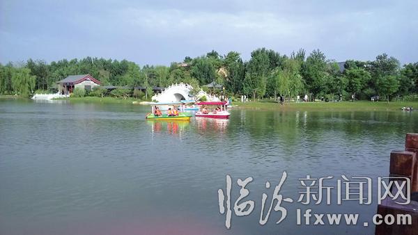 炎炎夏季,市區(qū)各大公園劃船市民增多