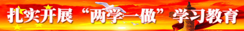 扎實開展“兩學(xué)一做”學(xué)習(xí)教育