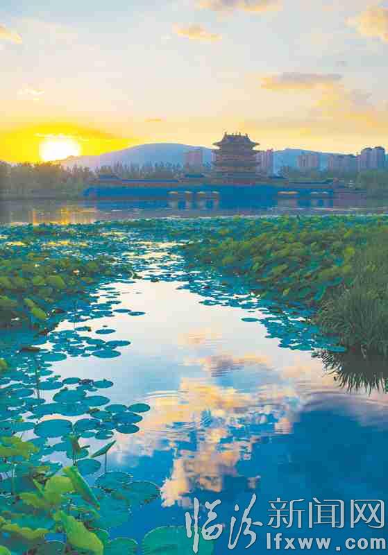 夕陽(yáng)下的汾河 隨手一拍即是風(fēng)景